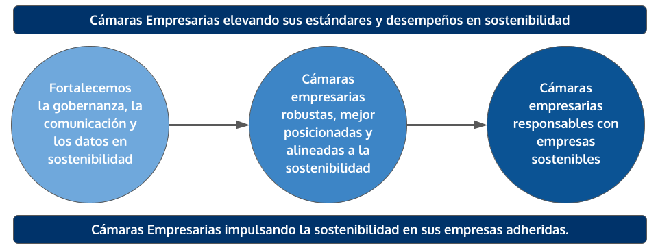 Desarrollo de las cámaras